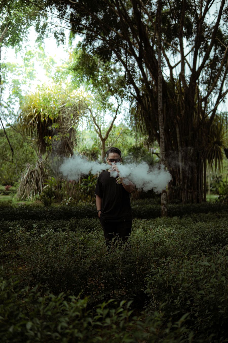 nicotine salt juice