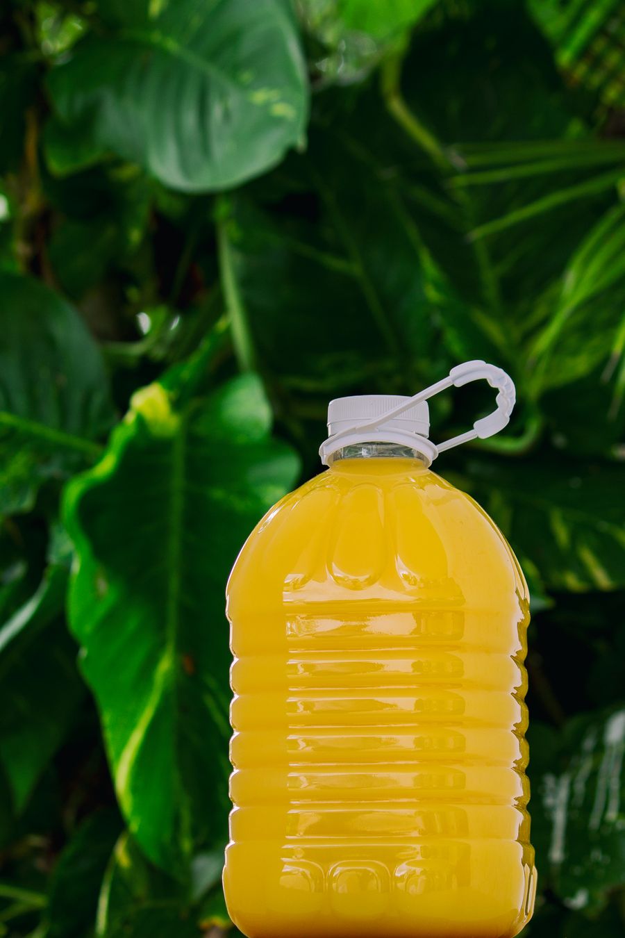 freebase e-liquid